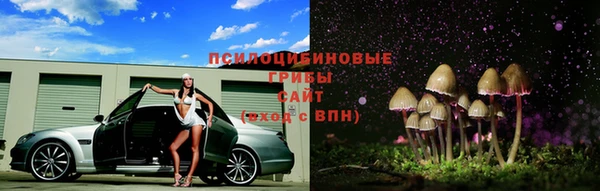бошки Арсеньев