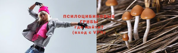 бошки Арсеньев