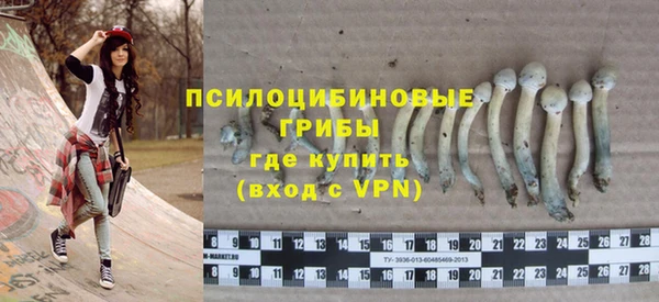 ALPHA PVP Аркадак