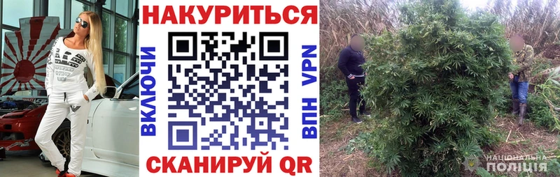 Купить закладки  Урус-Мартан  Бошки Шишки Bruce Banner 